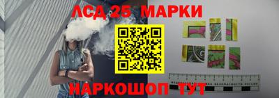 индика Новодвинск
