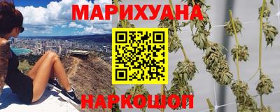 индика Новодвинск