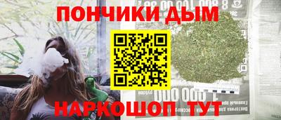 индика Новодвинск