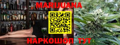 индика Новодвинск