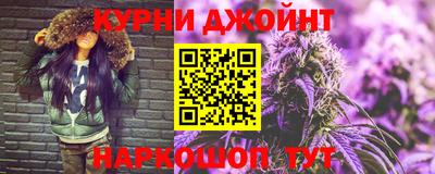 индика Новодвинск