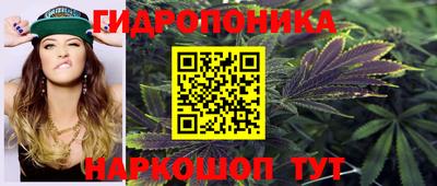 ПСИЛОЦИБИНОВЫЕ ГРИБЫ Новокубанск