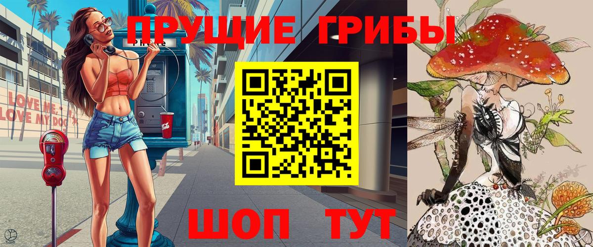 Псилоцибиновые грибы GOLDEN TEACHER  Вход с VPN  Пенза  Галлюциногенные грибы Cubensis 