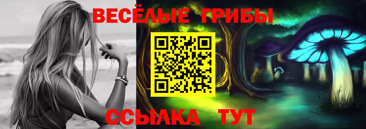 Псилоцибиновые грибы мицелий Пенза